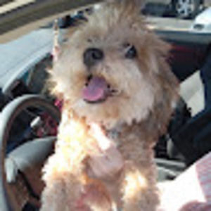 Meet your Posher, Joshua